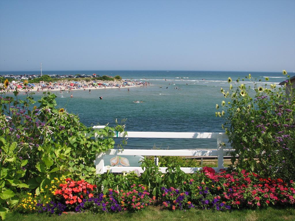 Inn Terrace By The Sea 3*